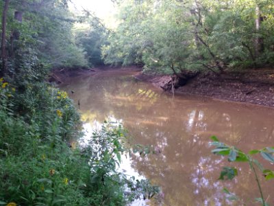 Pigg River Power Dam  Breach - Day 20