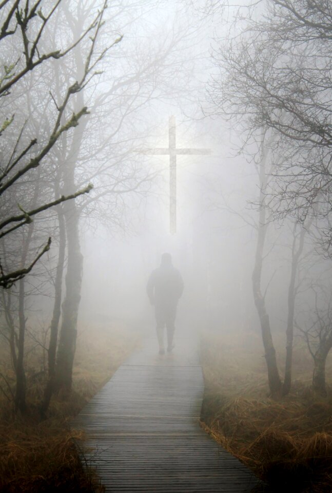 Autumn forest mood cross