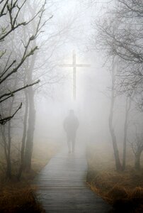 Autumn forest mood cross