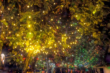 Wesak Festival 2018