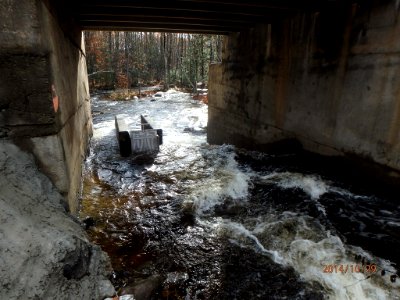 Etna Pond Fishway