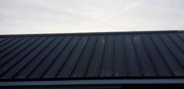 Canaan Valley National Wildlife Refuge Ridge cap installed on private office side