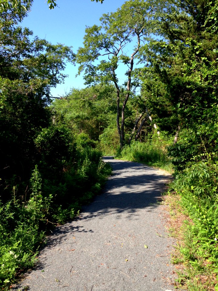 Forsythe wildlife drive after hurricane repairs