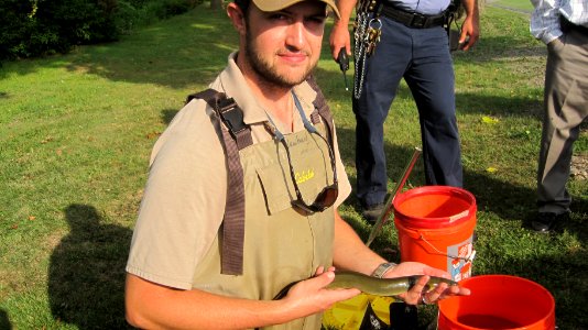 Service biologist with large eel