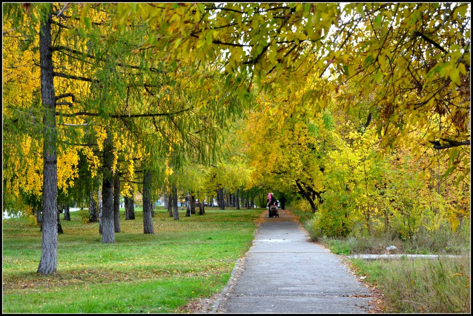 Осенний Челбинск