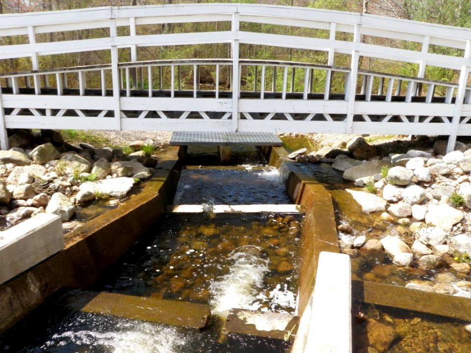 Small pool type ladder in RI