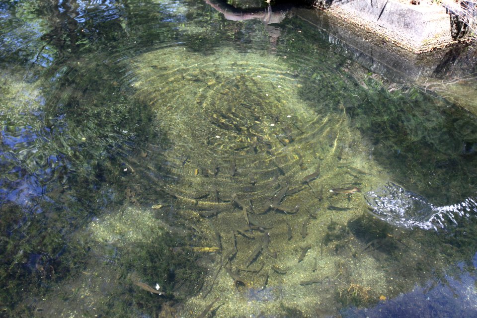 Youth Fishing Derby 2012