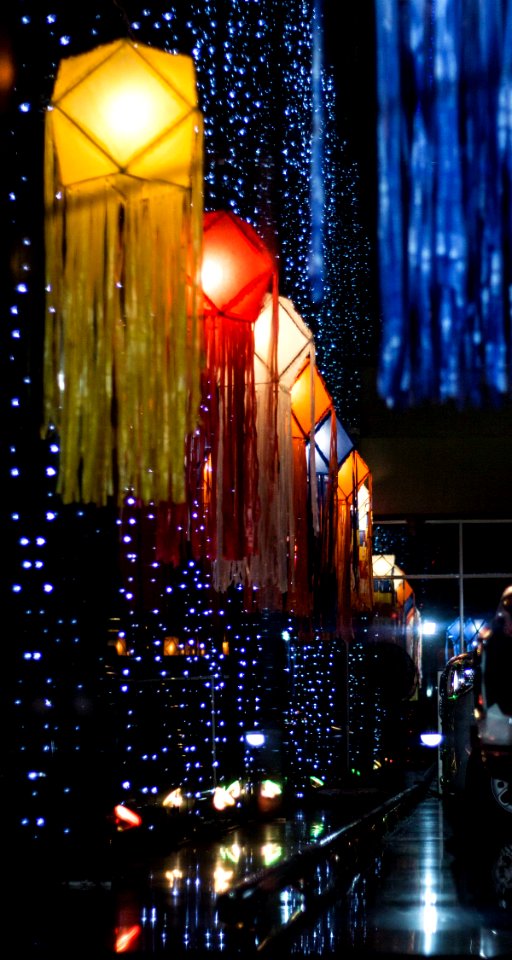 Wesak Festival 2018