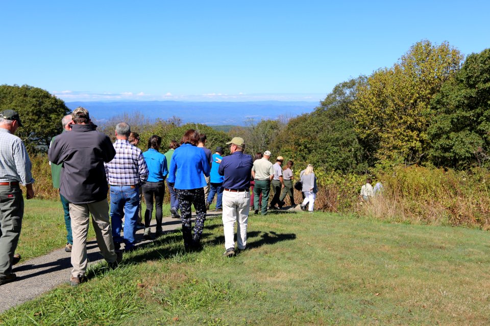 Heading off in search of the salamander