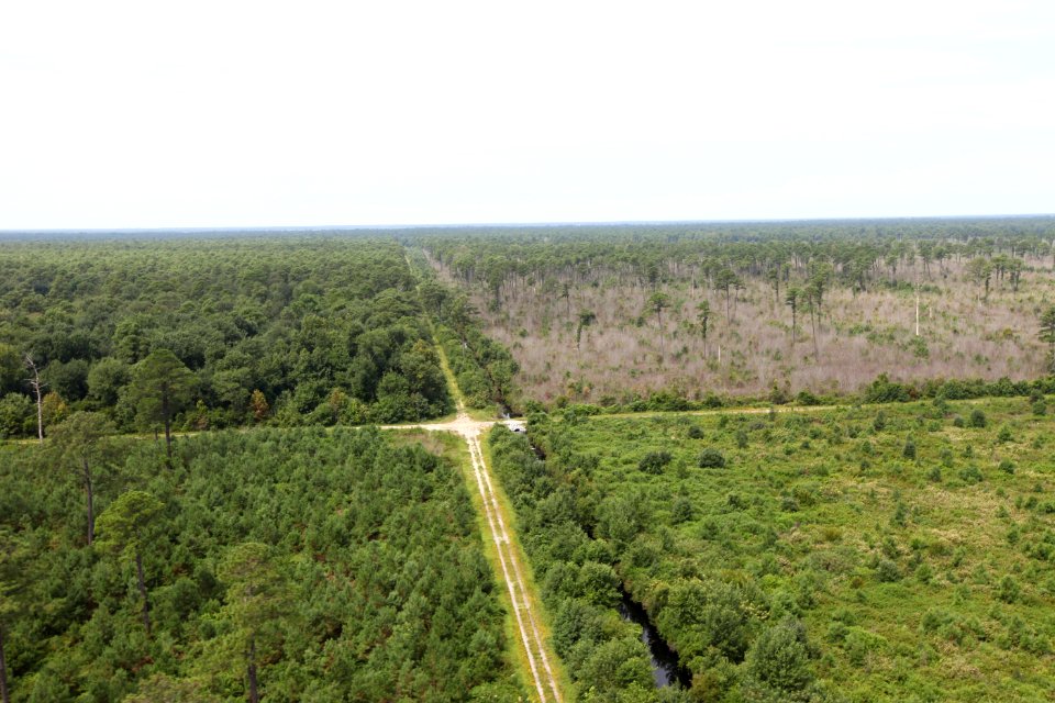 Day 5 - Great Dismal Swamp, VA - Hurricane Sandy Aerial Tour