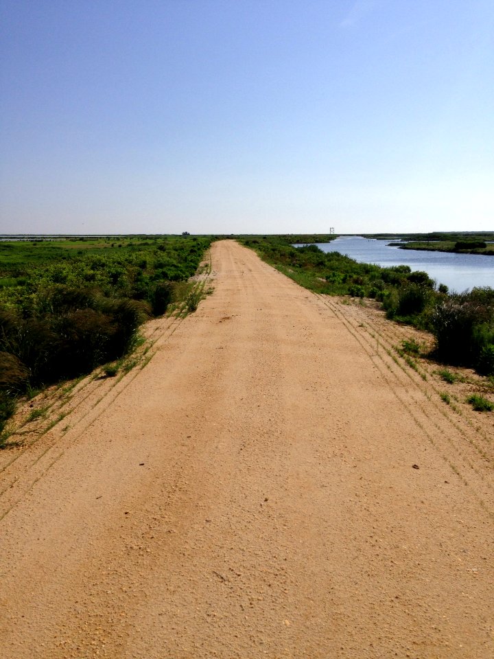 Forsythe wildlife drive after hurricane repairs
