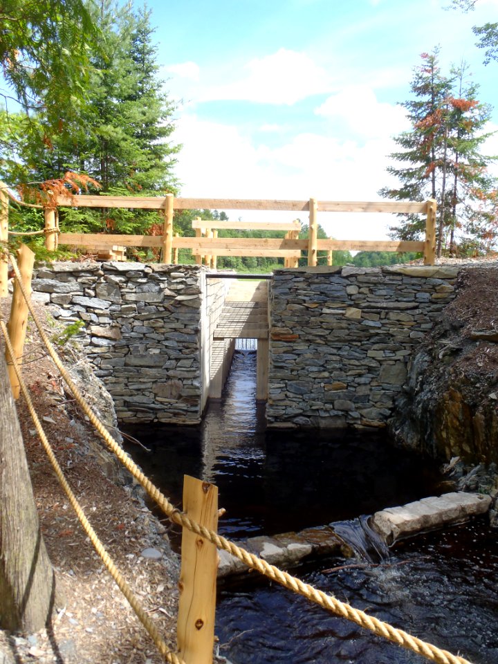 Fish ladder at a park in ME 1