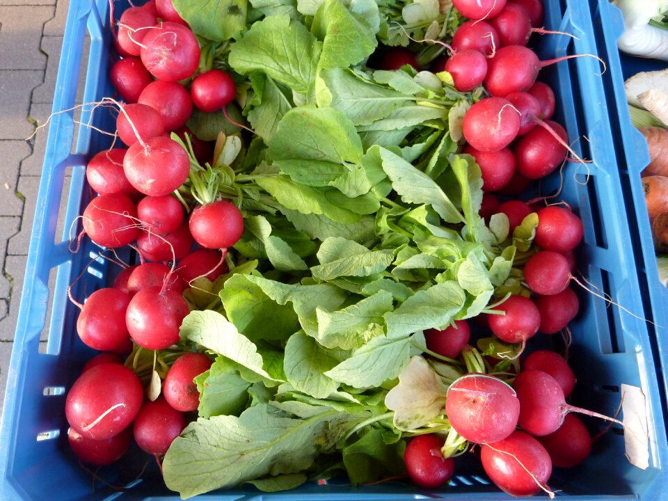 Fresh health vitamin