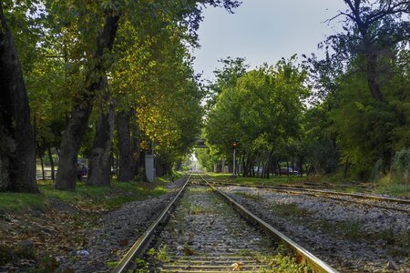 Railway green rails photo