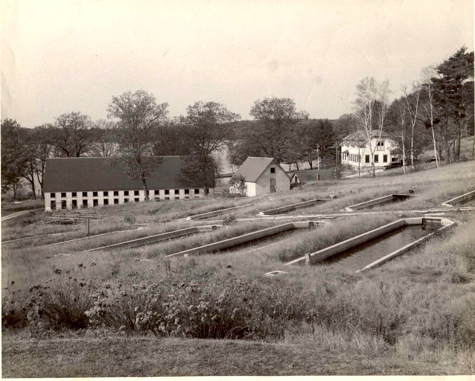 Craig Brook icehouse circa 1935-36 (ME)