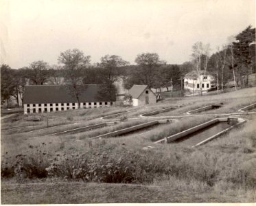 Craig Brook icehouse circa 1935-36 (ME)