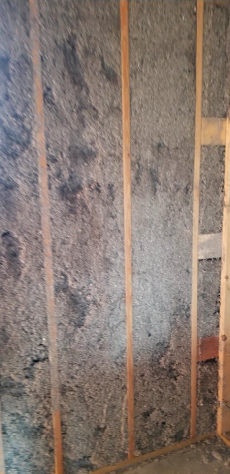 Canaan Valley NWR Damp cellulose insulation in walls typical
