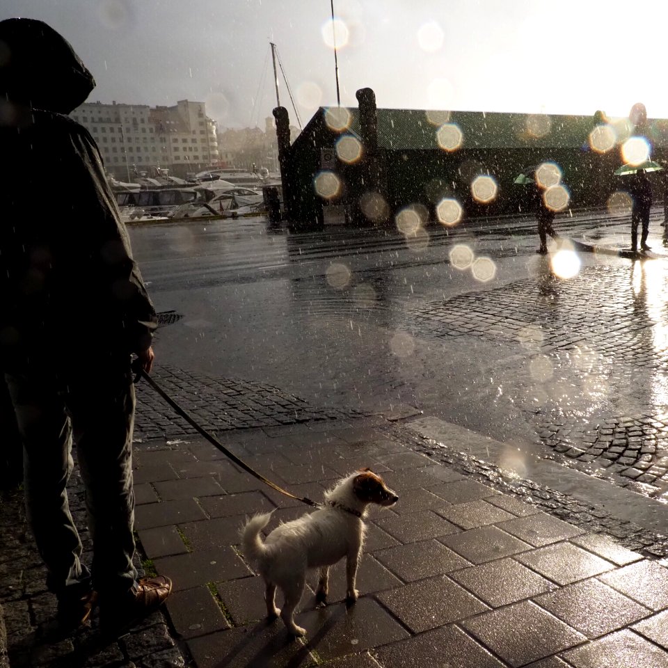 Rain watch