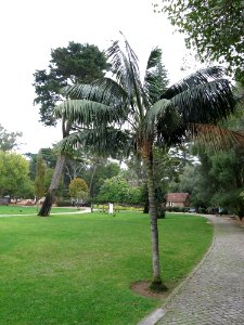 2016-10-21 Cascais 6181