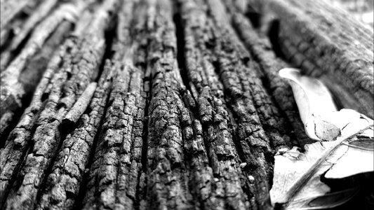 Fabrics thailand mother's province