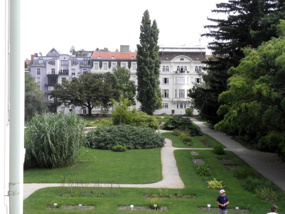 Wien