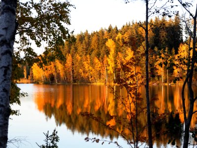 Autumn blick