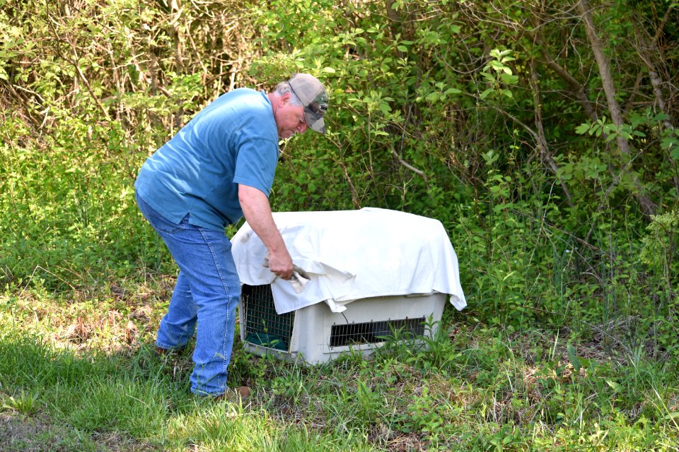 CraigKoppee CheckingEagletInCarrier 04-17