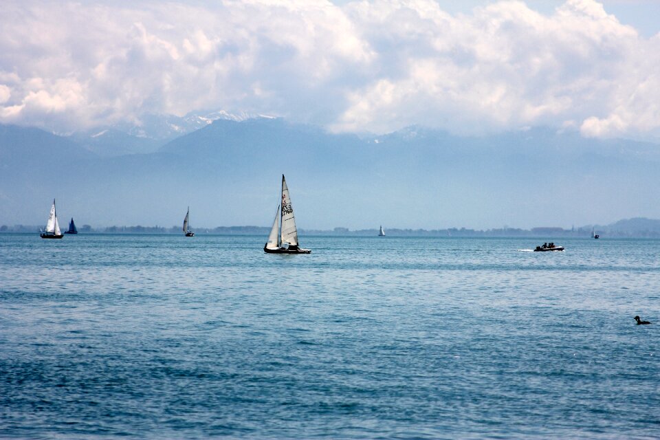 Lake constance nature bank