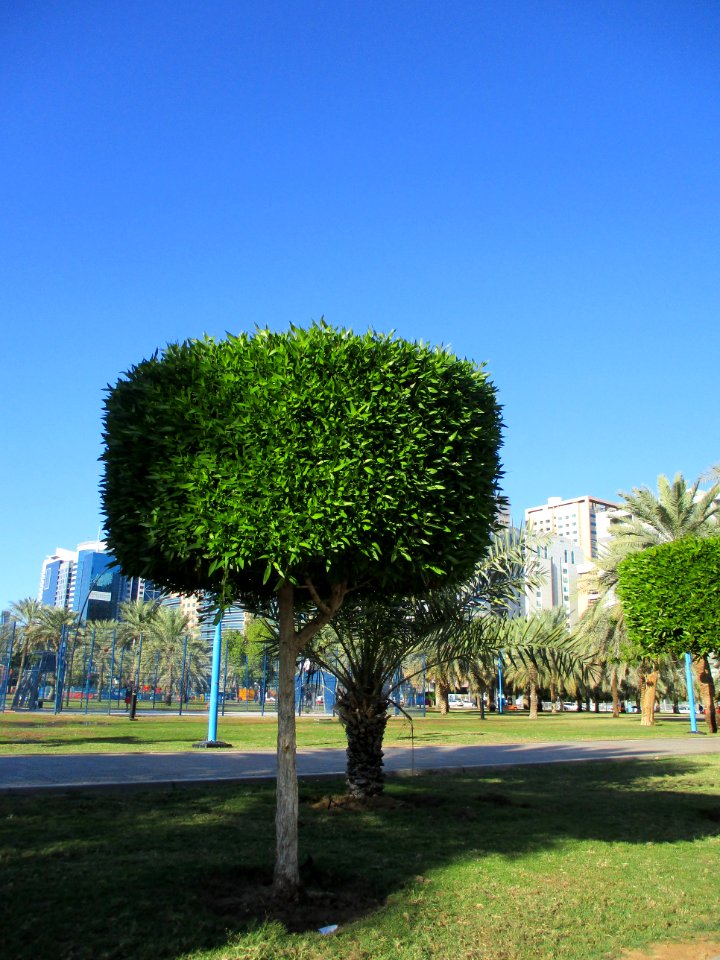 Al-Khalidiya Park - حديقة الخالدية