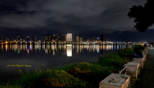 a-DSC 2141