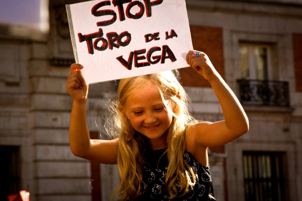 Contra el Toro de la Vega