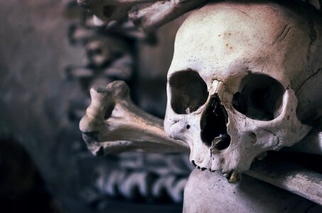 Chapel of all saints kutna hora happyhalloween