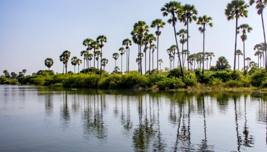 Jaffna Trip 2017 Nov