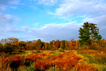 Silvio O. Conte National Wildlife Refuge Fort River Division,  Hadley MA