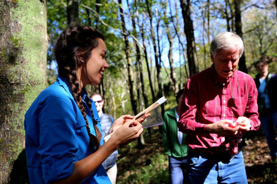 Student measures salamander