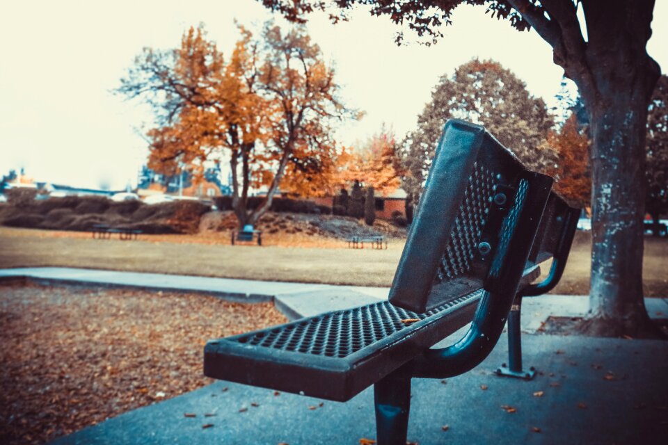 Park bench outdoors
