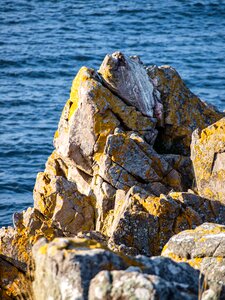 Water rocky coast baltic sea photo