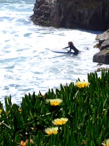 Flowers and flower, CA surfer girl
