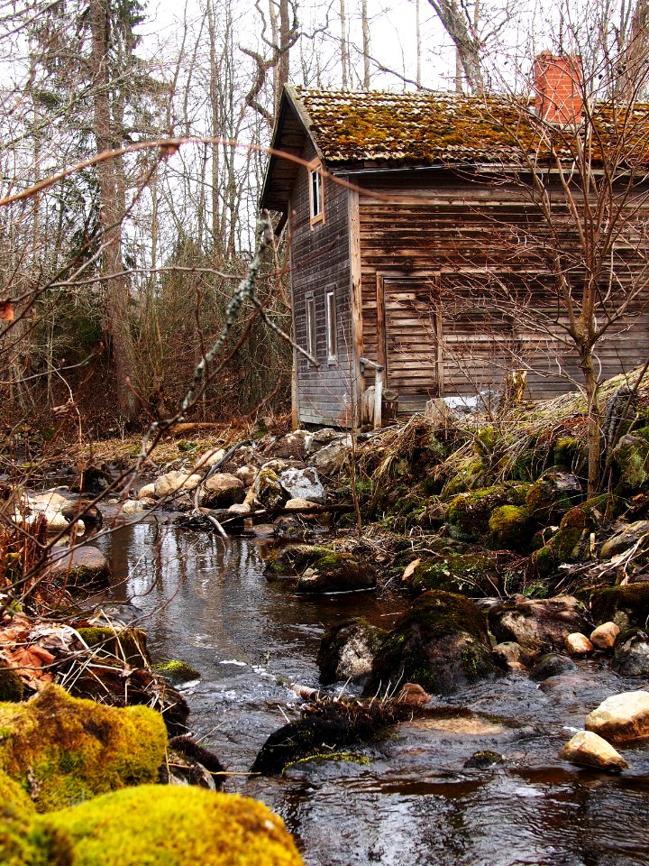 Early spring, old sauna
