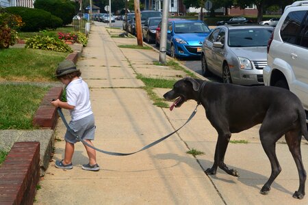 Child cute dog
