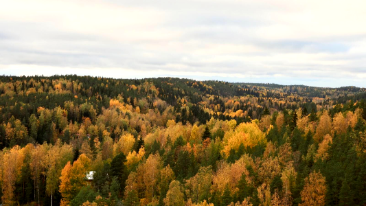 Nuuksio National Park, October colours