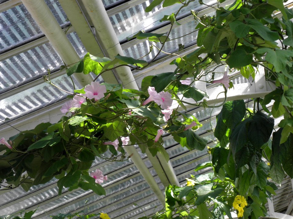 Botanischer Garten