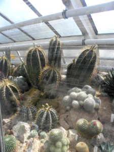 Botanischer Garten