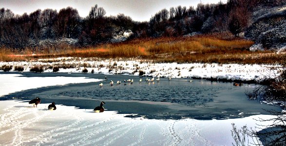 lac parc falaise