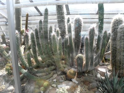 Botanischer Garten