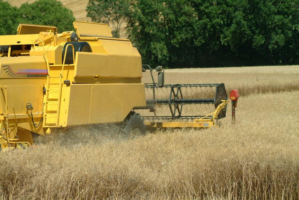 Field combine harvest