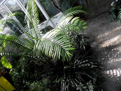 Botanischer Garten
