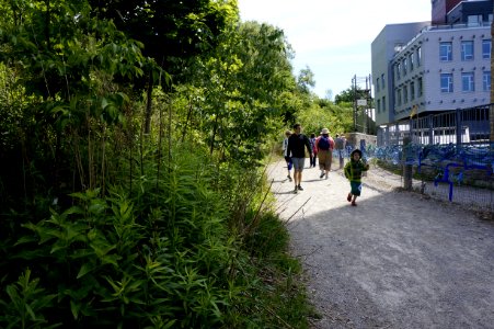  DSC3742