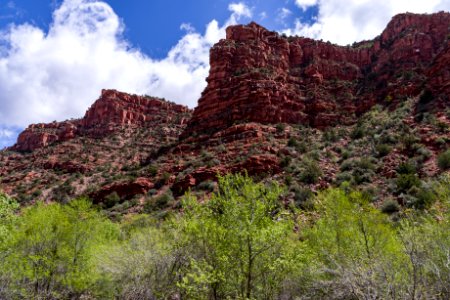 Parsons Trail No. 144