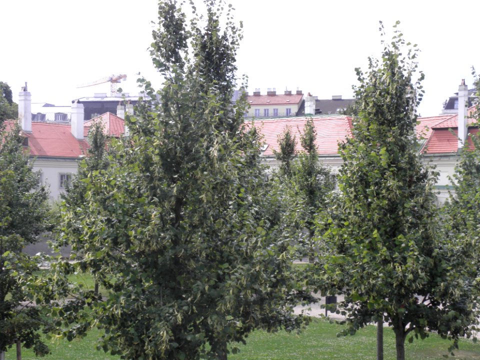 Wien